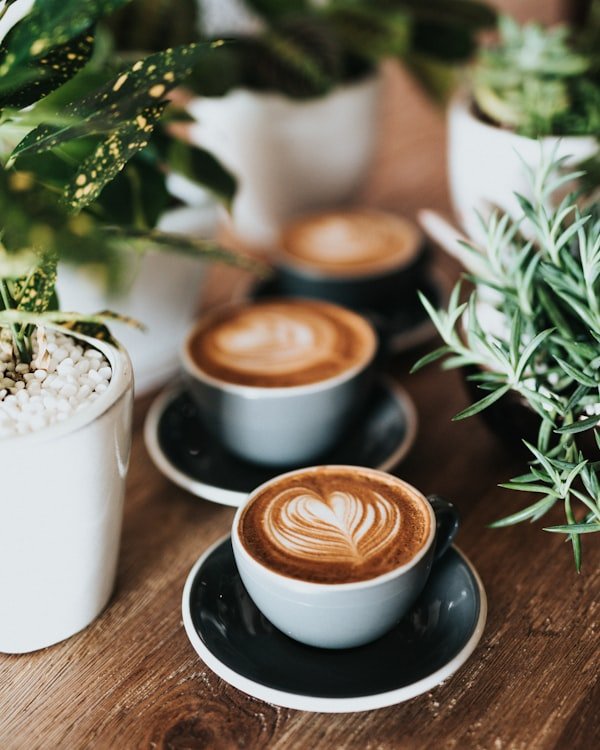 Dos cappuccinos con arte en la leche sobre una mesa de madera, entre plantas