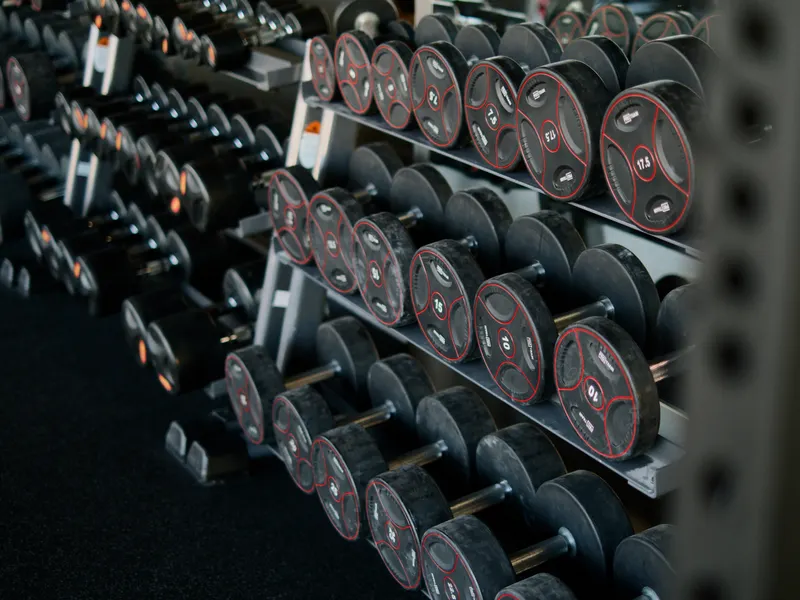 Rack de mancuernas ordenadas en la sala de musculación