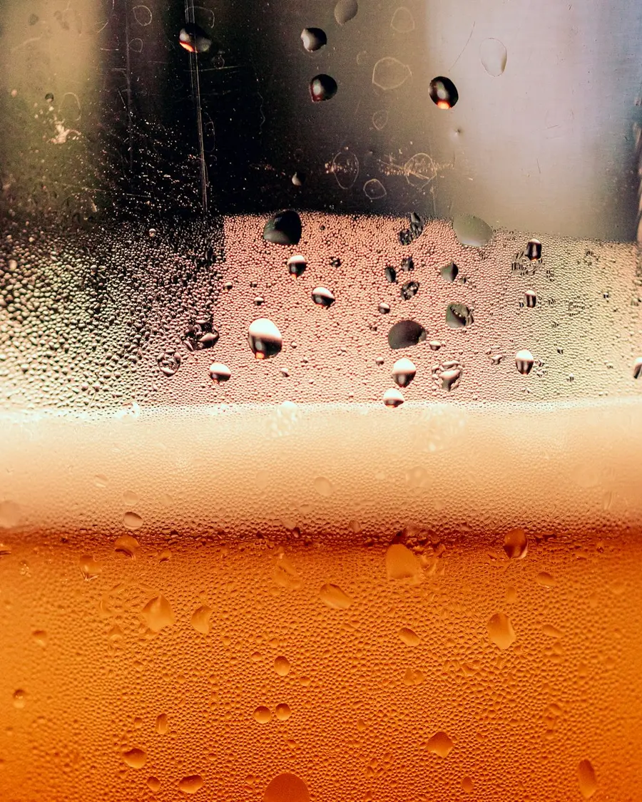 Cerveza lager